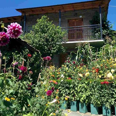 Guesthouse Gouris Tsepelovo Bagian luar foto