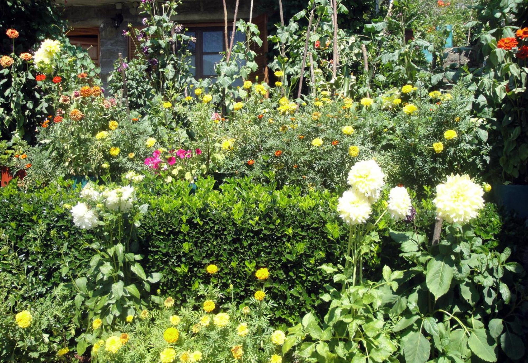 Guesthouse Gouris Tsepelovo Bagian luar foto
