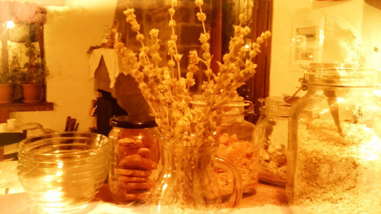 Guesthouse Gouris Tsepelovo Bagian luar foto