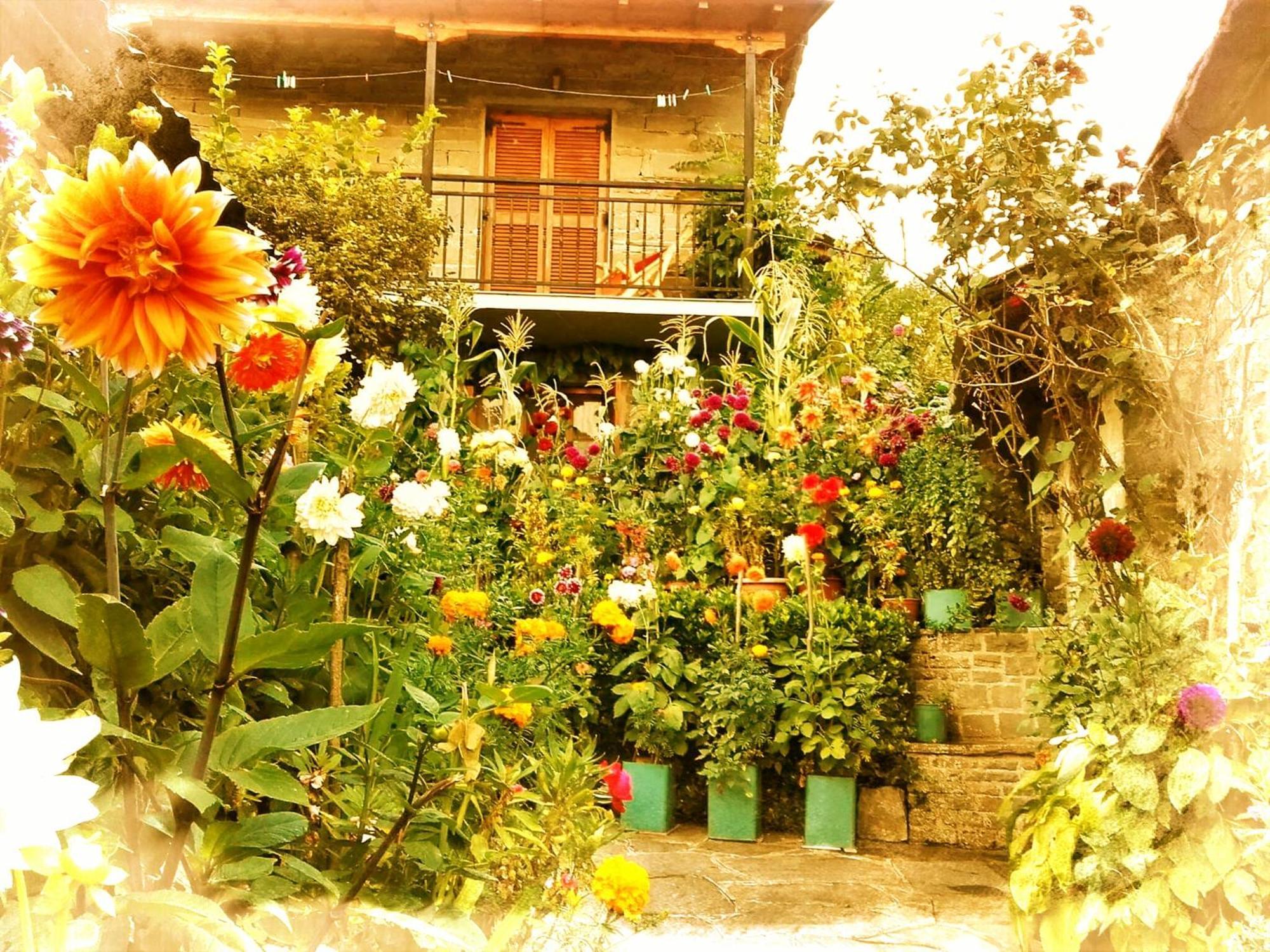 Guesthouse Gouris Tsepelovo Bagian luar foto