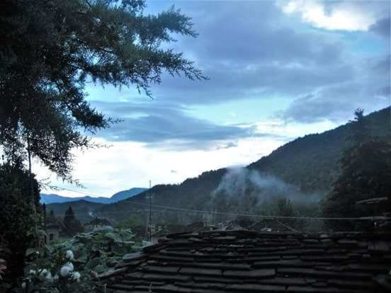 Guesthouse Gouris Tsepelovo Bagian luar foto