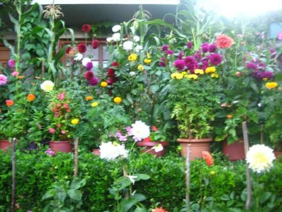 Guesthouse Gouris Tsepelovo Bagian luar foto