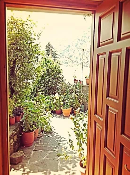 Guesthouse Gouris Tsepelovo Bagian luar foto